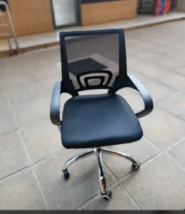 Mesh Ergonomic Office Chair