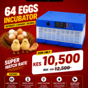ChatGPT-Image-May-11-2026-09_12_08-AM.png